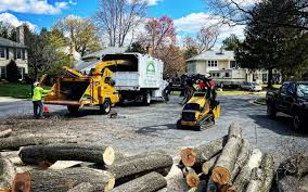 Best Leaf Removal  in Greilickville, MI